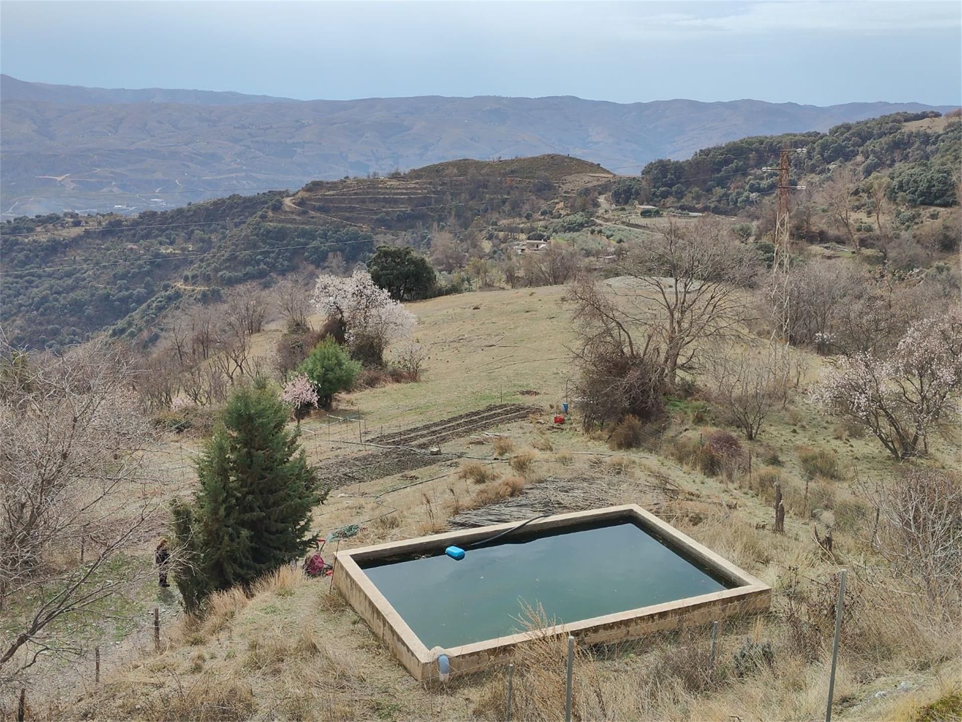 Country house for sale in Bérchules