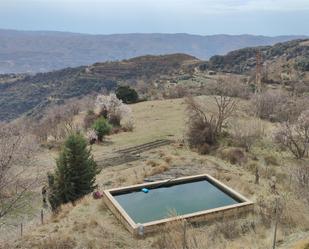 Swimming pool of Country house for sale in Bérchules