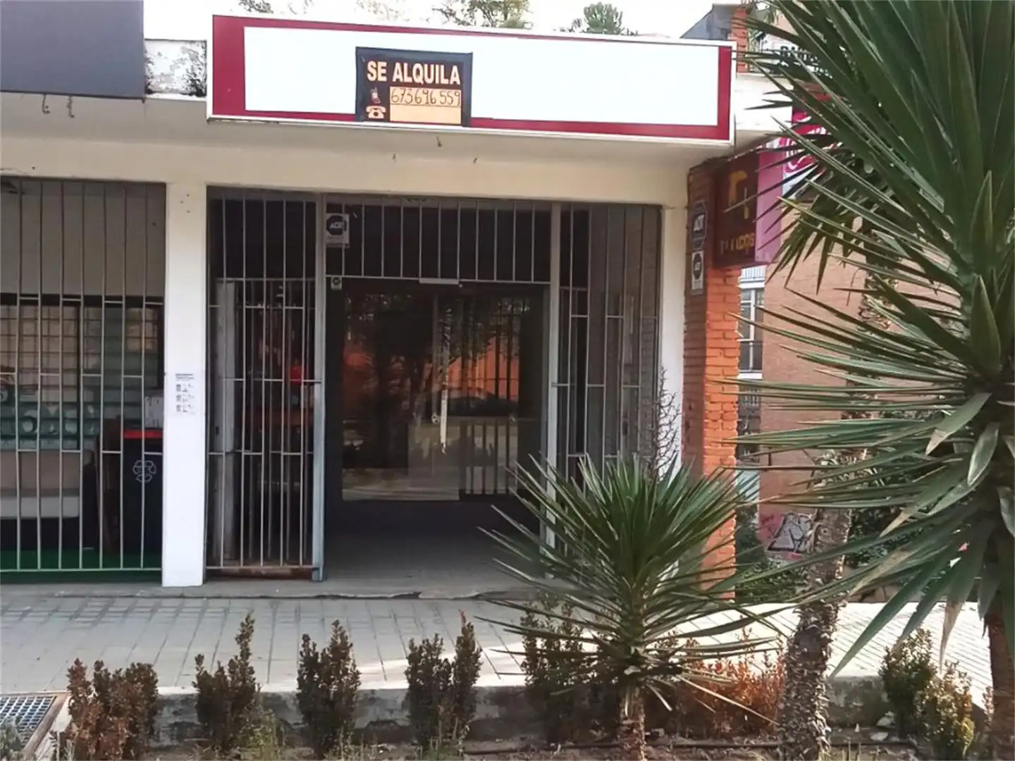 Commercial properties for rent in Madrid