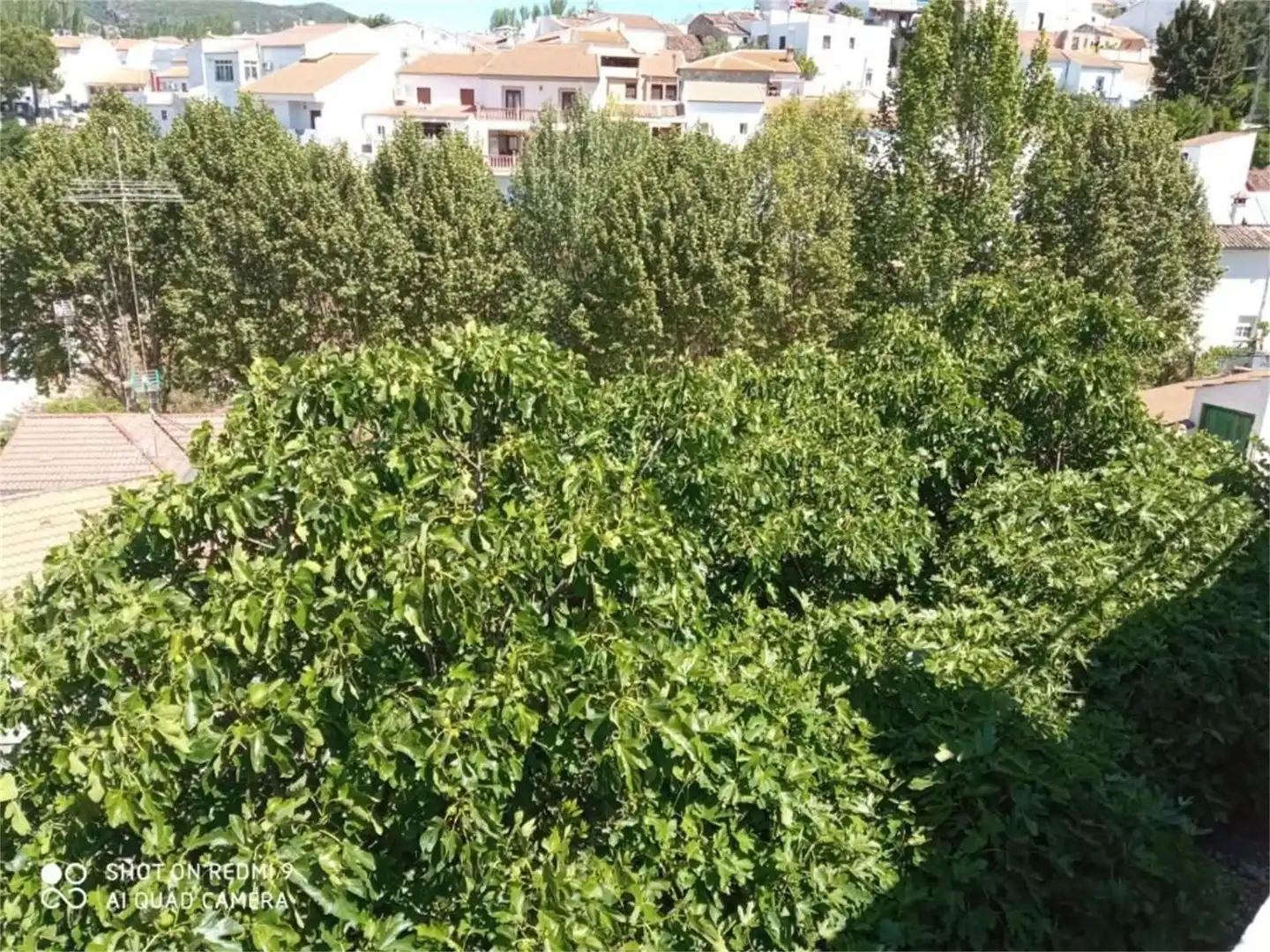 Detached homes for sale in Arriate  with Air Conditioner, Heating and Terrace