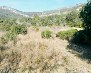 Land for sale in Figuerola del Camp