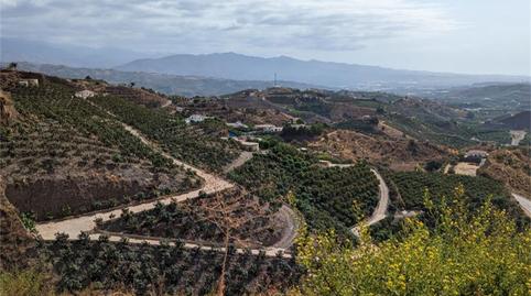 Finca rústica en venta en Almáchar, Málaga - imagen 2 Foto 2 de Finca rústica en venta en Almáchar, Málaga