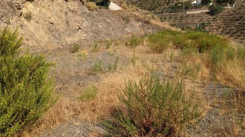 Finca rústica en venta en Almáchar, Málaga - imagen 3 Foto 3 de Finca rústica en venta en Almáchar, Málaga