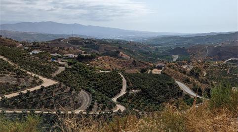 Finca rústica en venta en Almáchar, Málaga - imagen 5 Foto 5 de Finca rústica en venta en Almáchar, Málaga