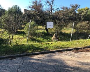 Constructible Land for sale in Villa del Prado