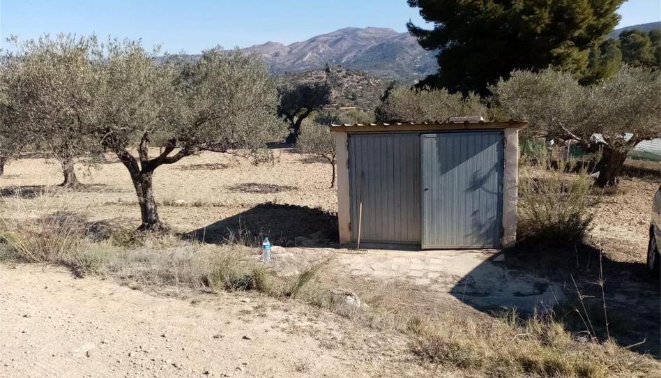 Non-constructible Land for sale in Calles, Valencia - image 1 Photo 1 of Non-constructible Land for sale in Calles, Valencia