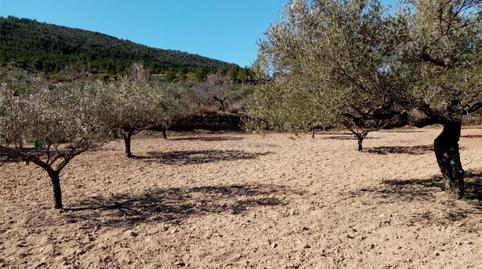 Non-constructible Land for sale in Calles, Valencia - image 3 Photo 3 of Non-constructible Land for sale in Calles, Valencia
