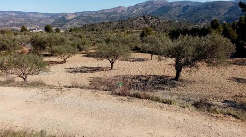 Non-constructible Land for sale in Calles, Valencia - image 5 Photo 5 of Non-constructible Land for sale in Calles, Valencia