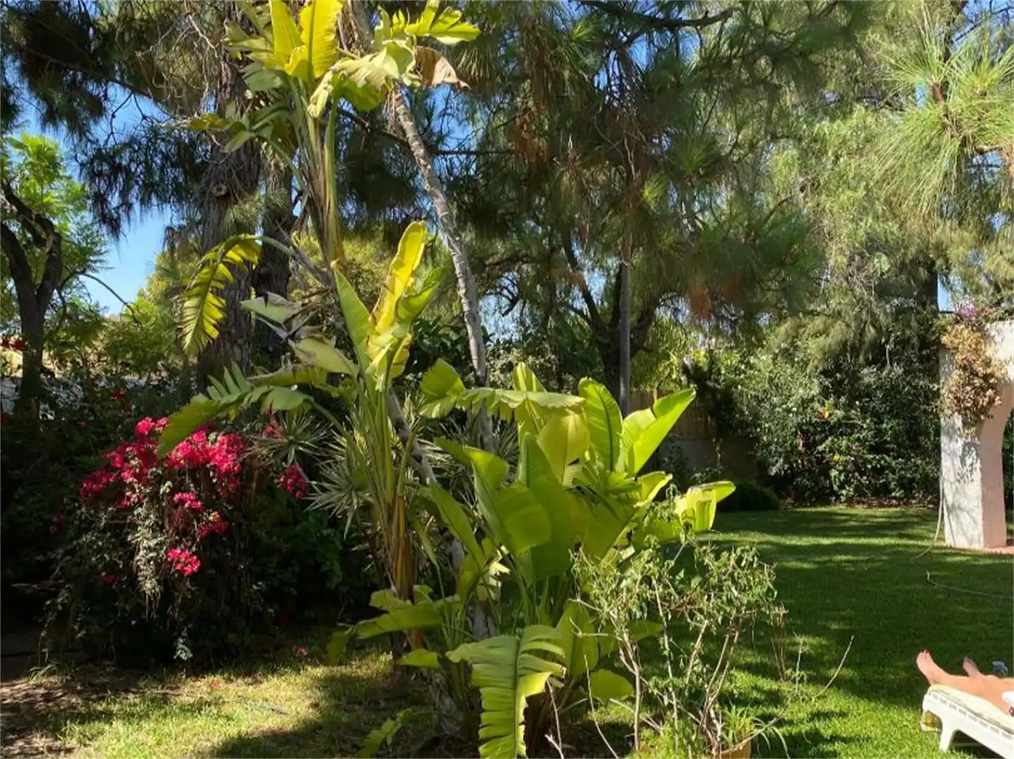 Jardí de Casa o xalet en venda en Sant Joan d'Alacant