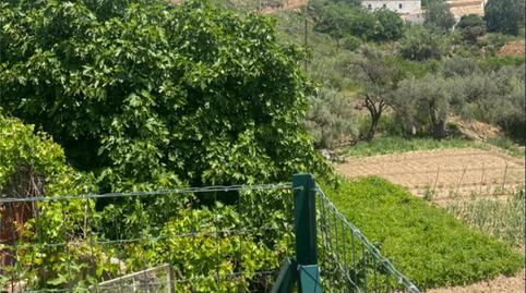 Finca rústica en venta en Paraje Simones, 24, Albox, Almería - imagen 3 Foto 3 de Finca rústica en venta en Paraje Simones, 24, Albox, Almería