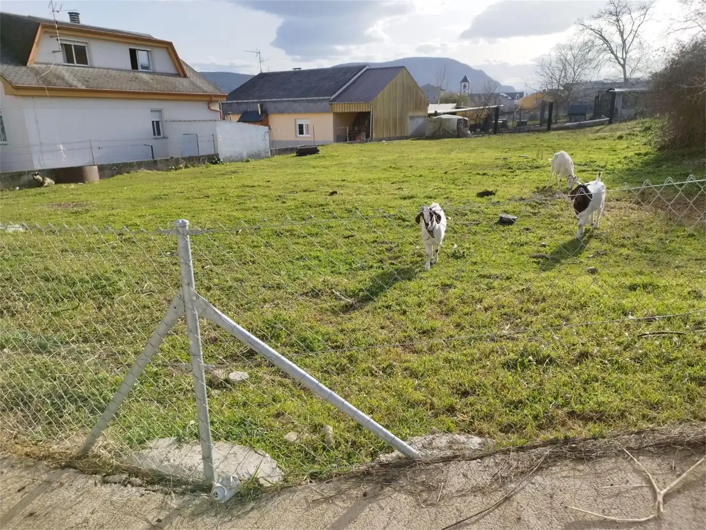 Bebaubares Gelände zum Verkauf in Toral de los Vados