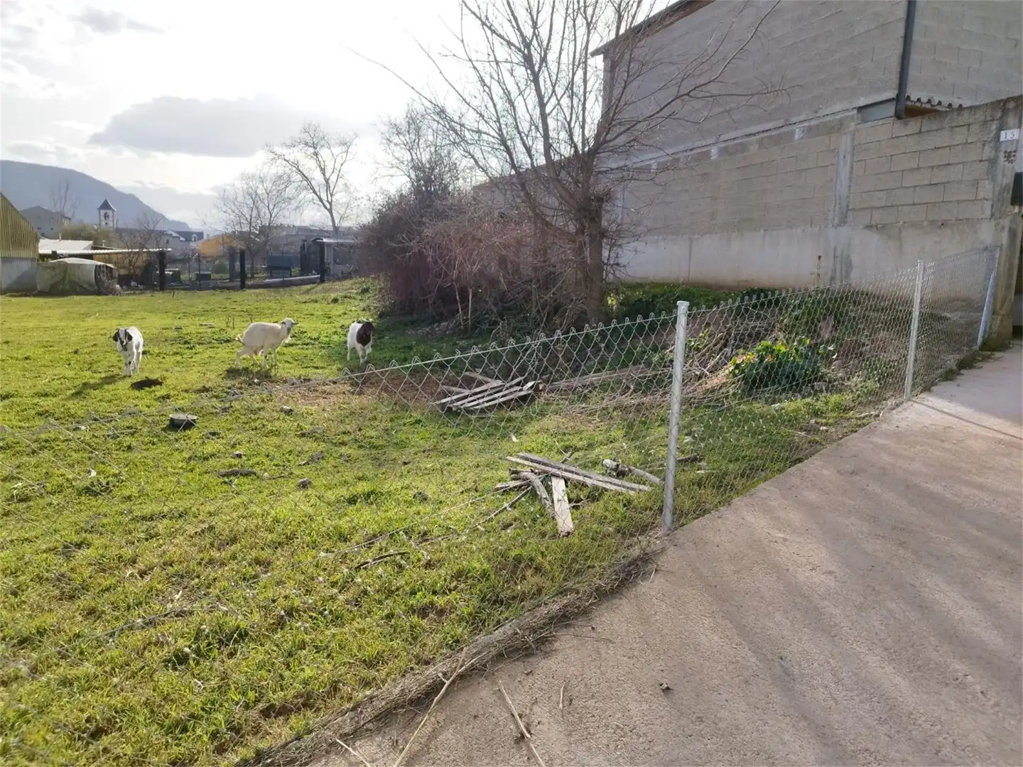 Bebaubares Gelände zum Verkauf in Toral de los Vados