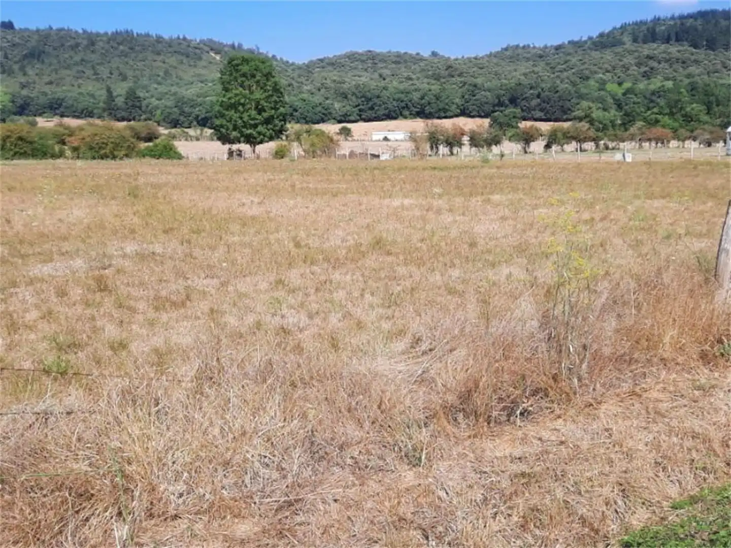 Finca rústica en venda en Valle de Mena