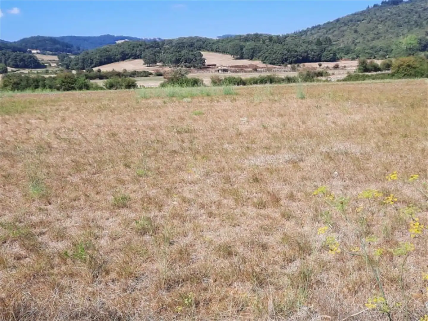 Finca rústica en venda en Valle de Mena