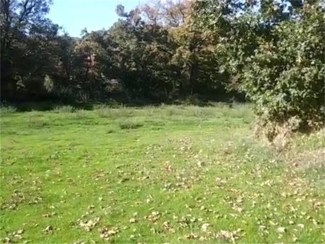 Terreno urbanizable en Venta en Barrio Sur, 12 en Hoyocasero