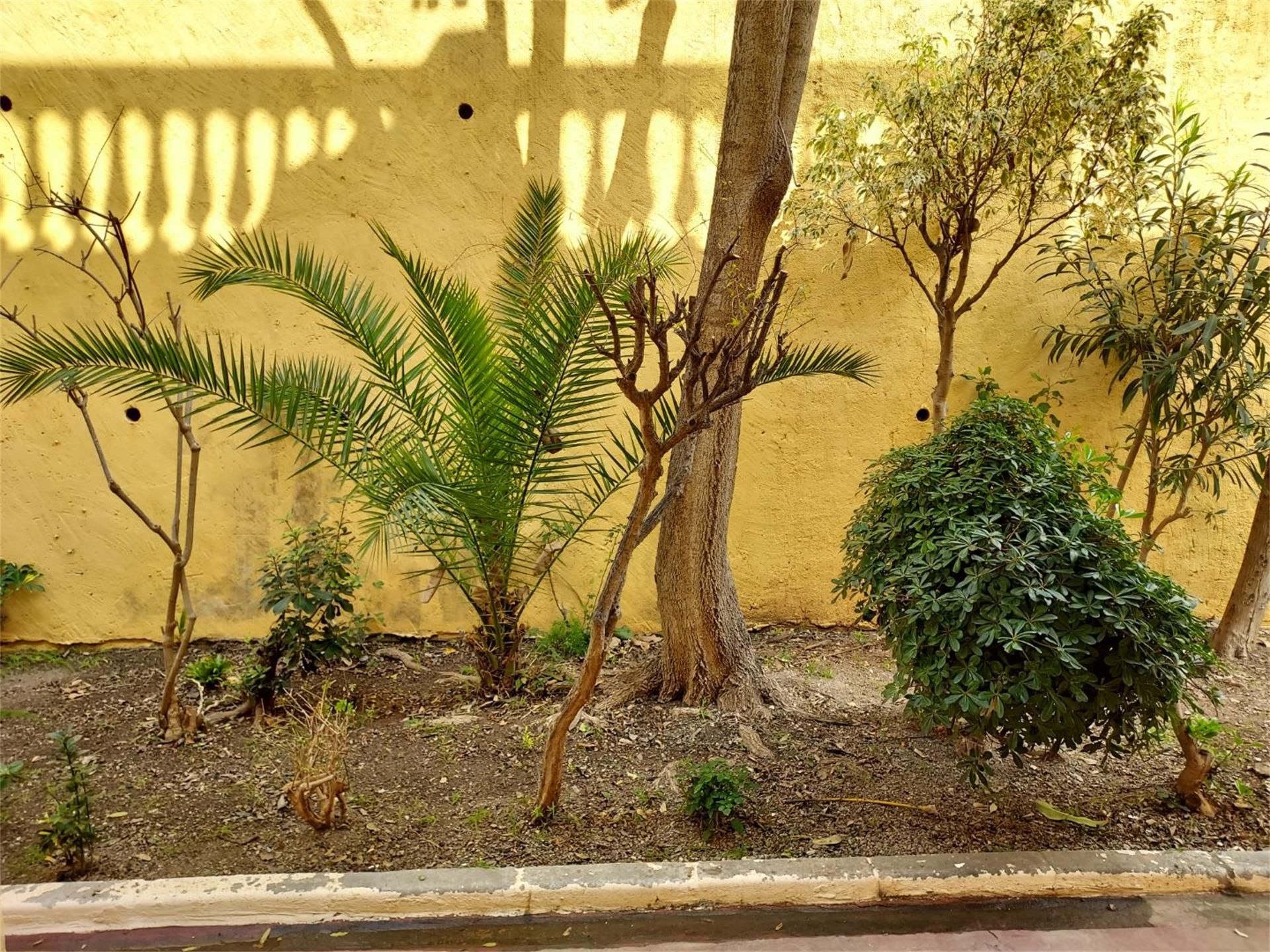 Garden of House or chalet for sale in Vélez-Málaga  with Private garden, Terrace and Swimming Pool