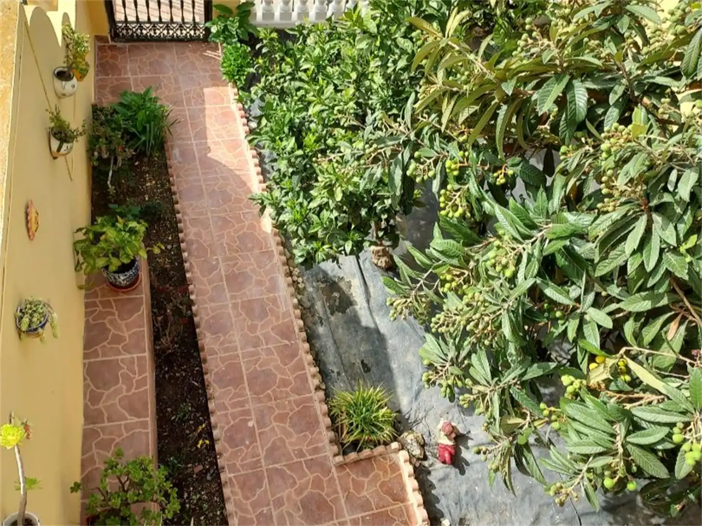 Jardí de Casa o xalet en venda en Vélez-Málaga amb Jardí privat, Terrassa i Piscina