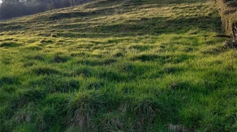 Foto 5 de Finca rústica en venta en Barrio Villegar, 24a, Corvera de Toranzo, Cantabria