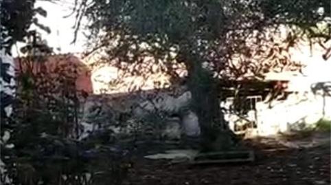 Photo 2 of Single-family semi-detached for sale in Calle Ramón y Cajal, Torrejoncillo, Cáceres