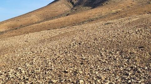 Photo 4 of Non-constructible Land for sale in Tesejerague, Las Palmas