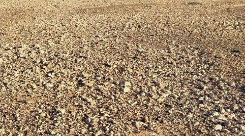 Photo 3 of Non-constructible Land for sale in Tesejerague, Las Palmas