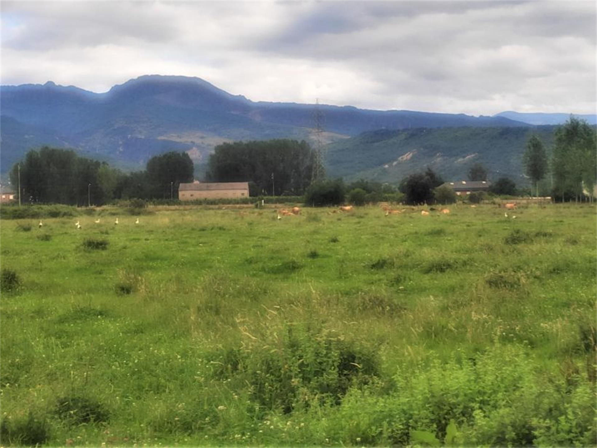 Land for sale in Carracedelo