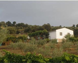 Garden of Land for sale in Talaván