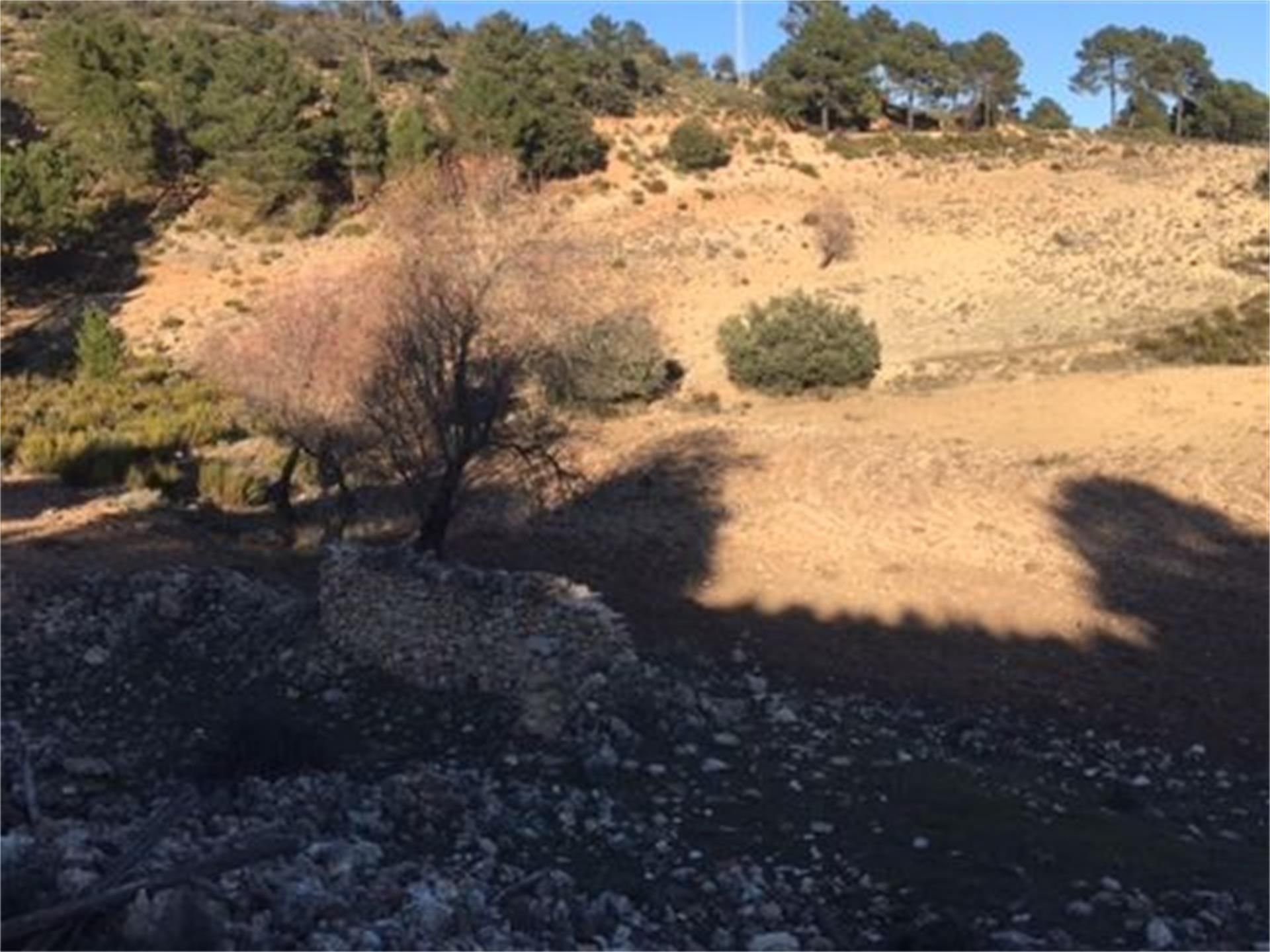 Non-constructible Land for sale in Paterna del Madera