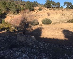 Non-constructible Land for sale in Paterna del Madera