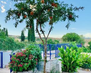 Jardí de Casa o xalet en venda en El Vellón amb Terrassa, Piscina i Balcó