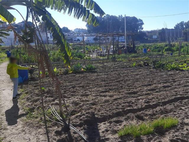 Terreno en Venta en Calle Alba en V Centenario - Piletas - Capuchinos