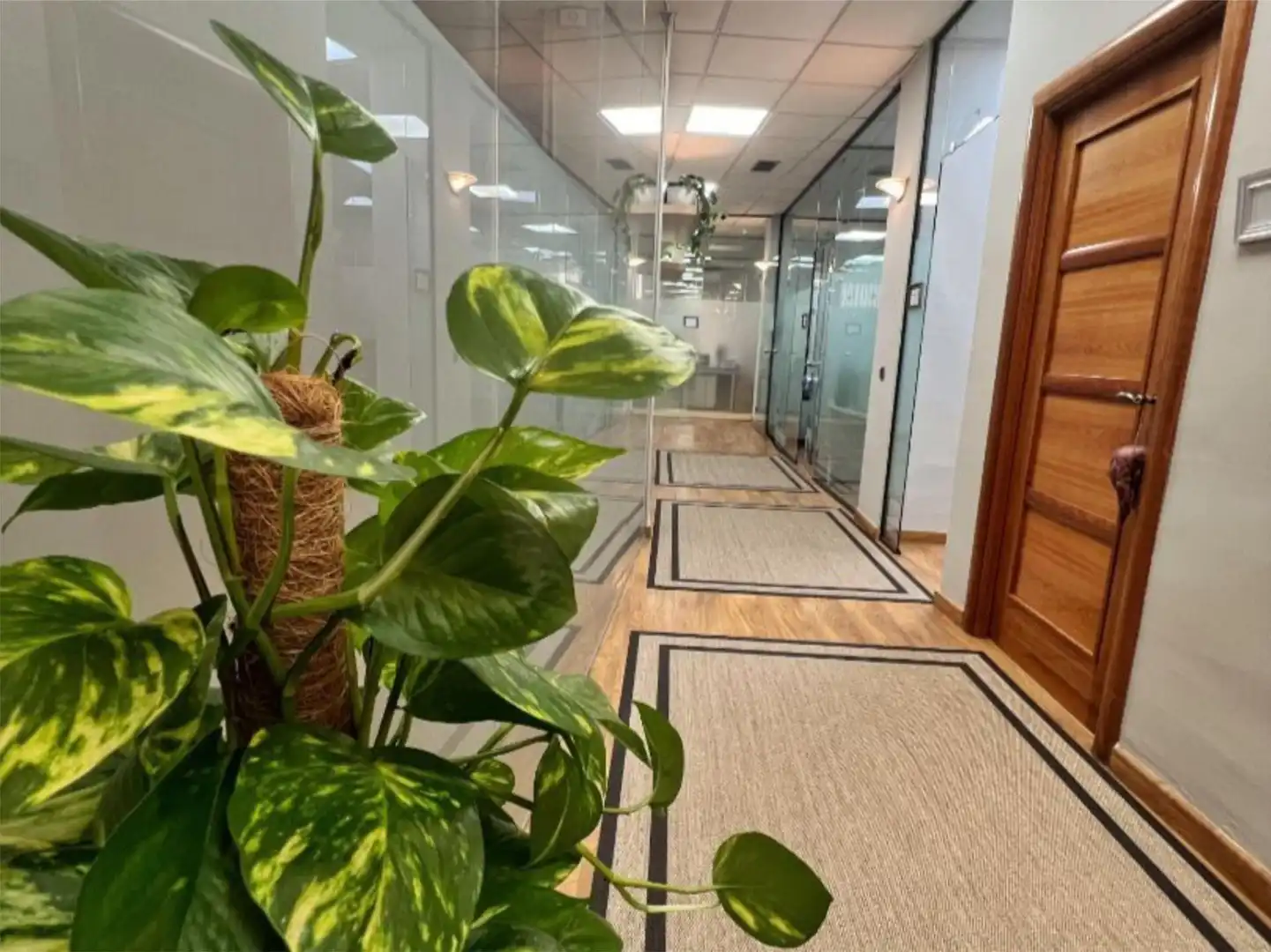 Oficina de alquiler en Pinto