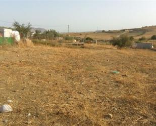 Non-constructible Land for sale in Cártama