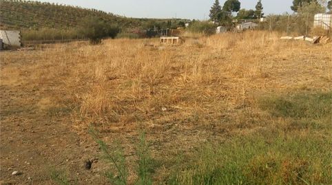 Foto 5 de No Urbanizable en venta en Casalpalma - Fahala, Cártama