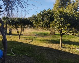 Finca rústica en venda en Punta Umbría amb Jardí privat i Terrassa