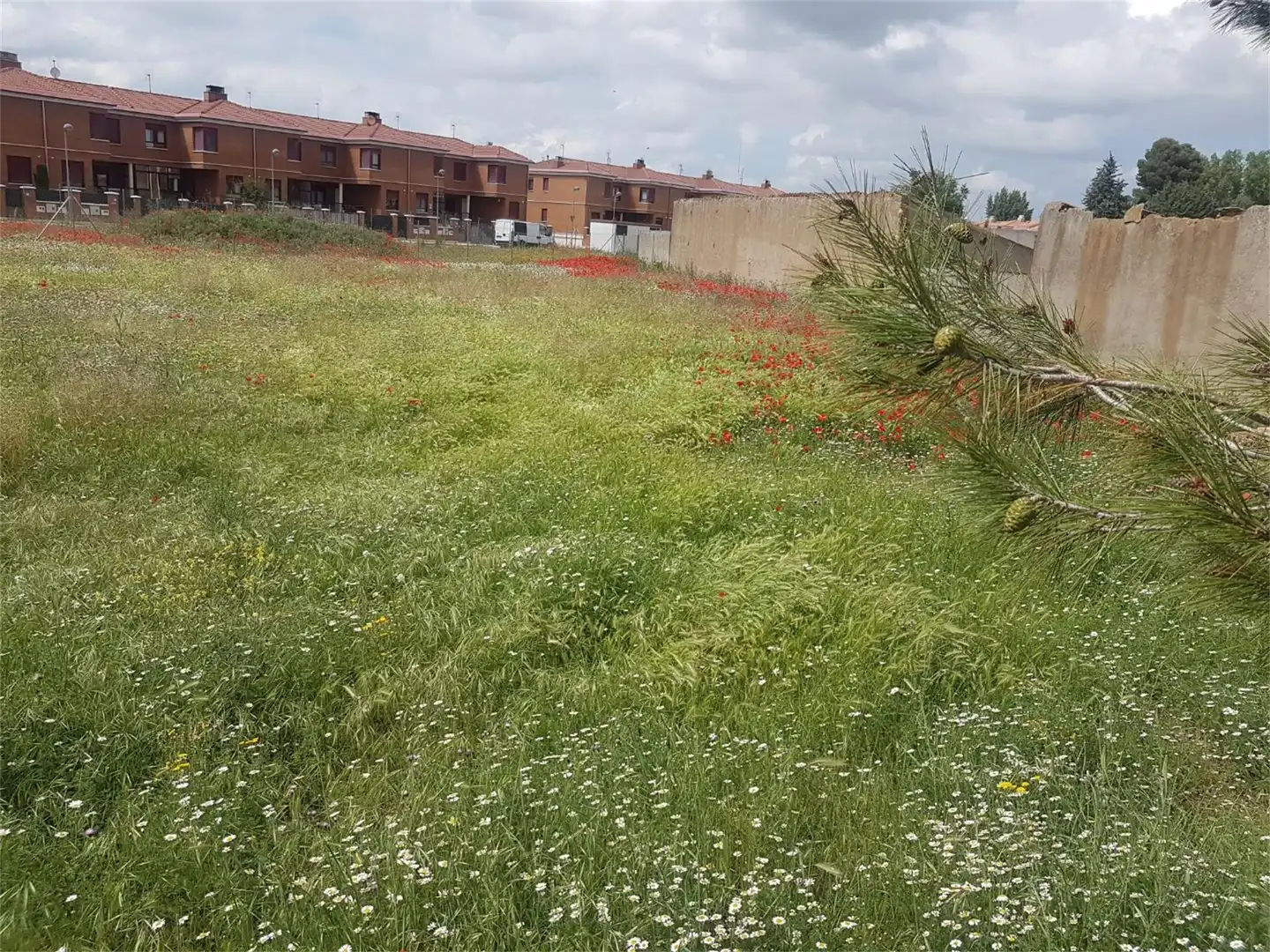 Terreny industrial en venda a Calle Miguel de Unamuno, 35, Venta de Baños Terreny industrial en venda en Venta de Baños