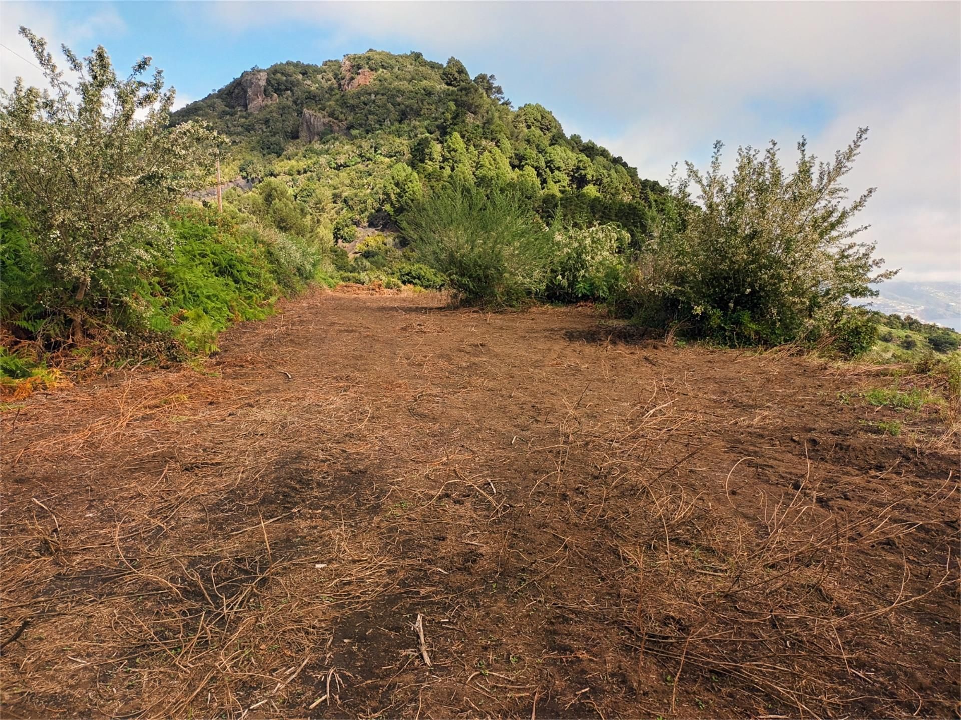 Finca rústica en venta en Villa de Mazo