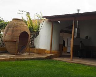 Jardí de Casa o xalet en venda en Daimiel amb Terrassa i Piscina