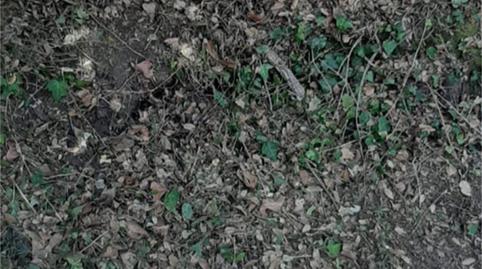 Foto 2 de Finca rústica en venda a Carrer Roca de Malvet, Santa Cristina Poble, Girona