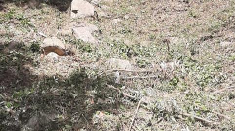 Foto 3 de Finca rústica en venda a Carrer Roca de Malvet, Santa Cristina Poble, Girona