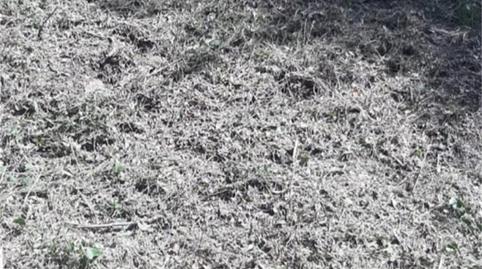 Foto 4 de Finca rústica en venda a Carrer Roca de Malvet, Santa Cristina Poble, Girona