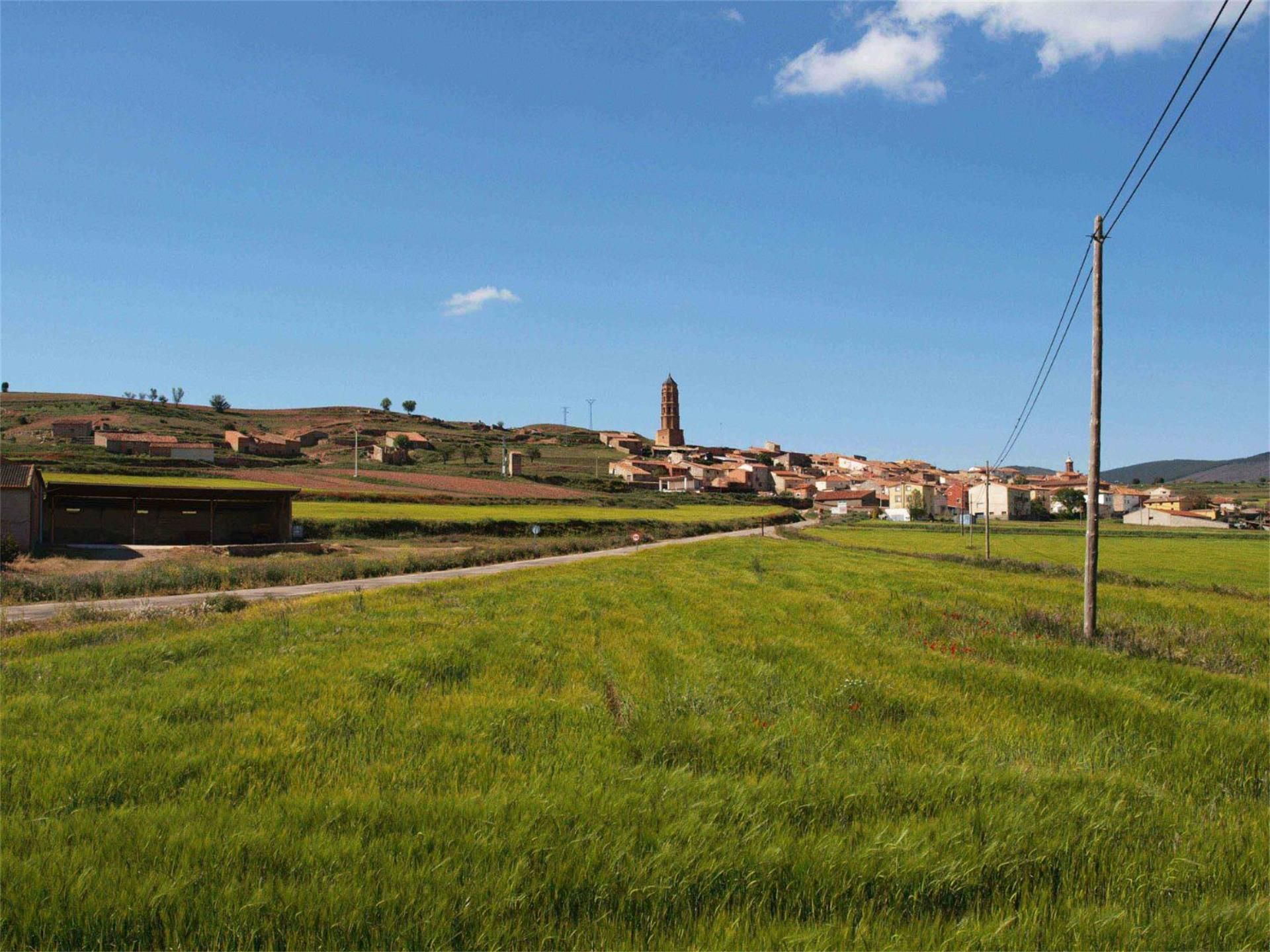 Exterior view of Single-family semi-detached for sale in Calamocha