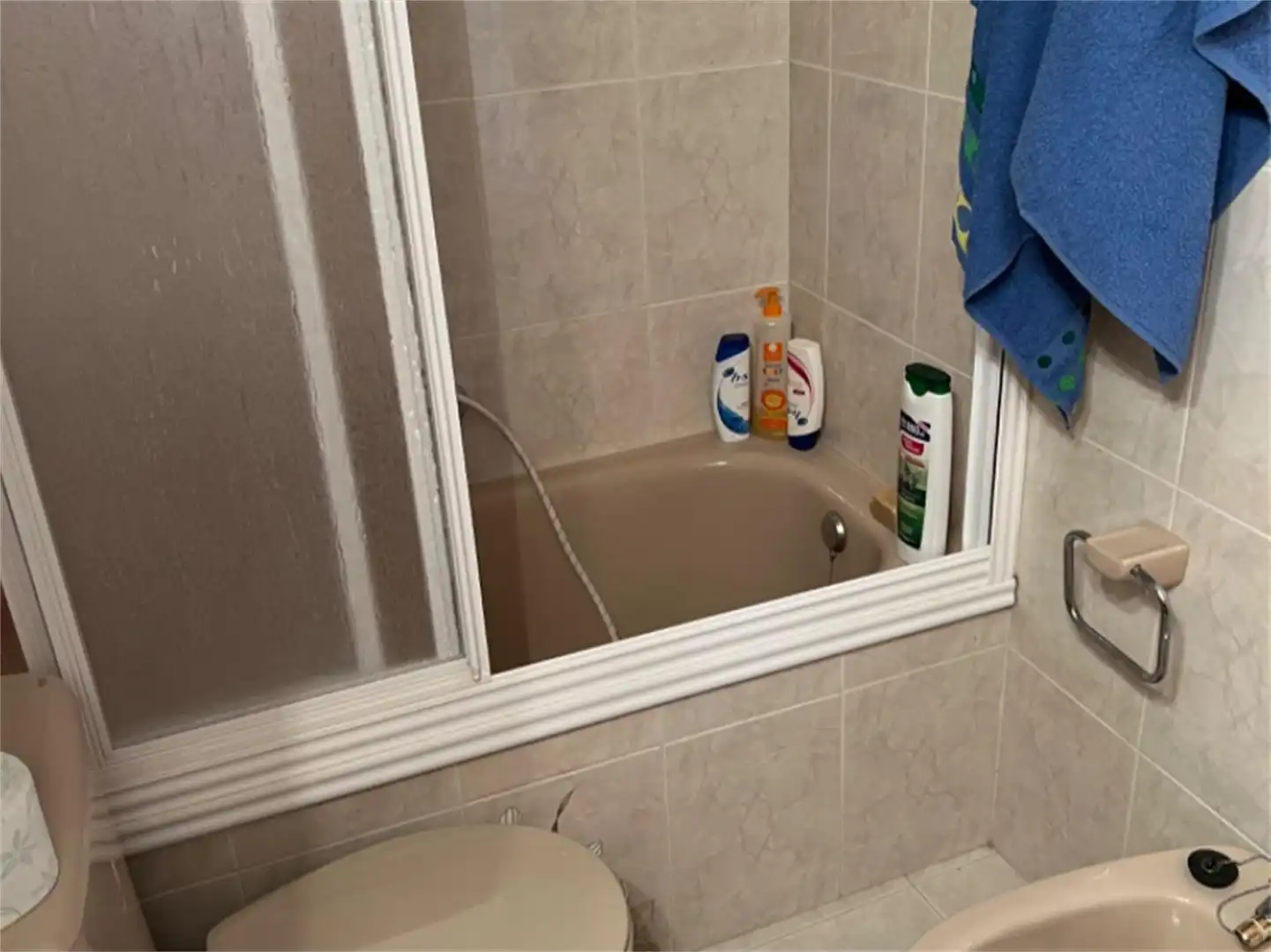 Bathroom of Detached homes for sale in Montiel