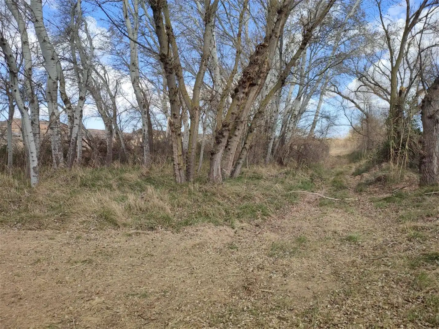 Land for sale in Calle Hiedra, 18, Botorrita Land for sale in Botorrita