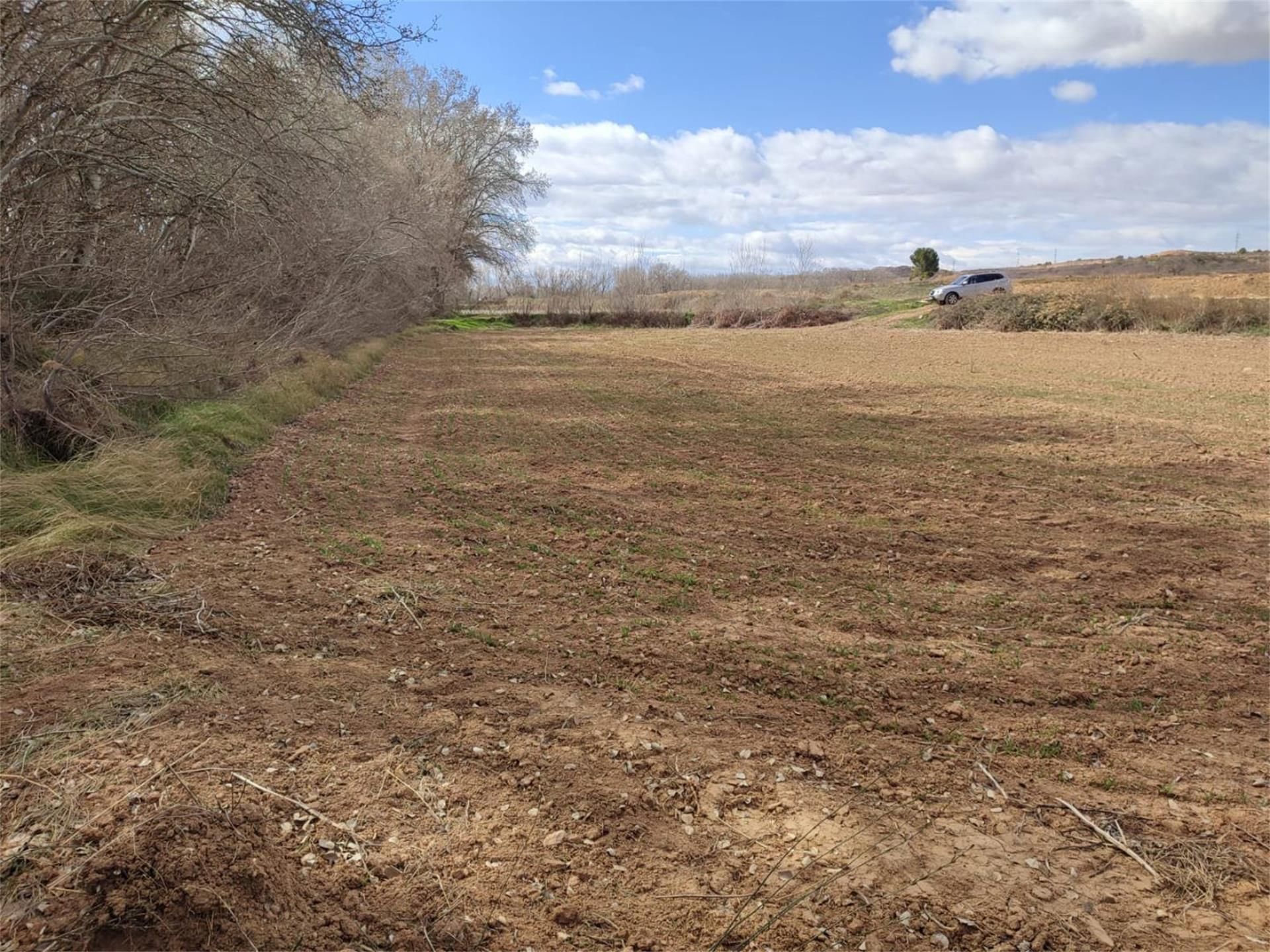 Land for sale in Botorrita