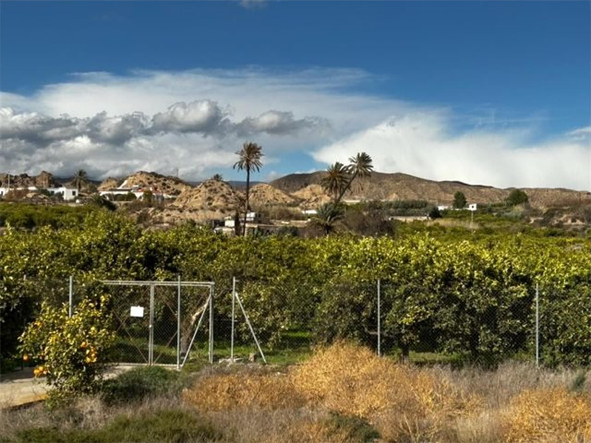 Vista exterior de Finca rústica en venta en Gádor