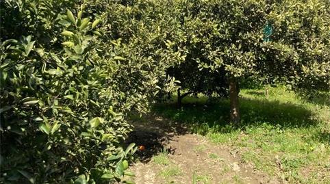 Foto 4 de Finca rústica en venda a Gádor, Almería