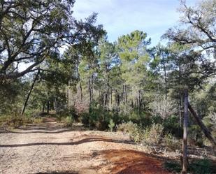 Finca rústica en venda en Galaroza