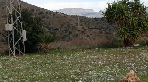 Planta baixa en venda a Calle Málaga, 20a, Iznate, Málaga - imatge 3 Foto 3 de Planta baixa en venda a Calle Málaga, 20a, Iznate, Málaga