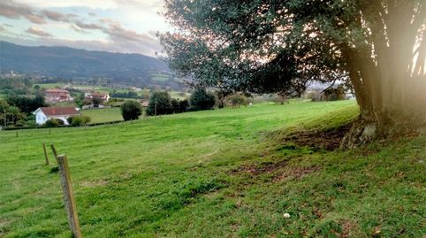 Casa o chalet en venta en Llanera, Asturias - imagen 4 Foto 4 de Casa o chalet en venta en Llanera, Asturias